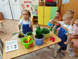 В группе «Росинка» проходит неделя ознакомления с комнатными растениями В группе «Росинка» проходит неделя ознакомления с комнатными растениями.