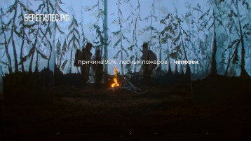 Леса нуждаются в нашей защите Леса нуждаются в нашей защите.