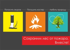 Ответственность за природу: как каждый из нас может предотвратить лесные пожары Ответственность за природу: как каждый из нас может предотвратить лесные пожары.